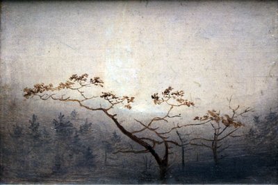 Árvores ao nascer do sol no outono de Carl Blechen